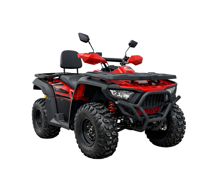 Bashan Powerful Quad